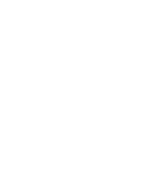 Lake Life Store logo